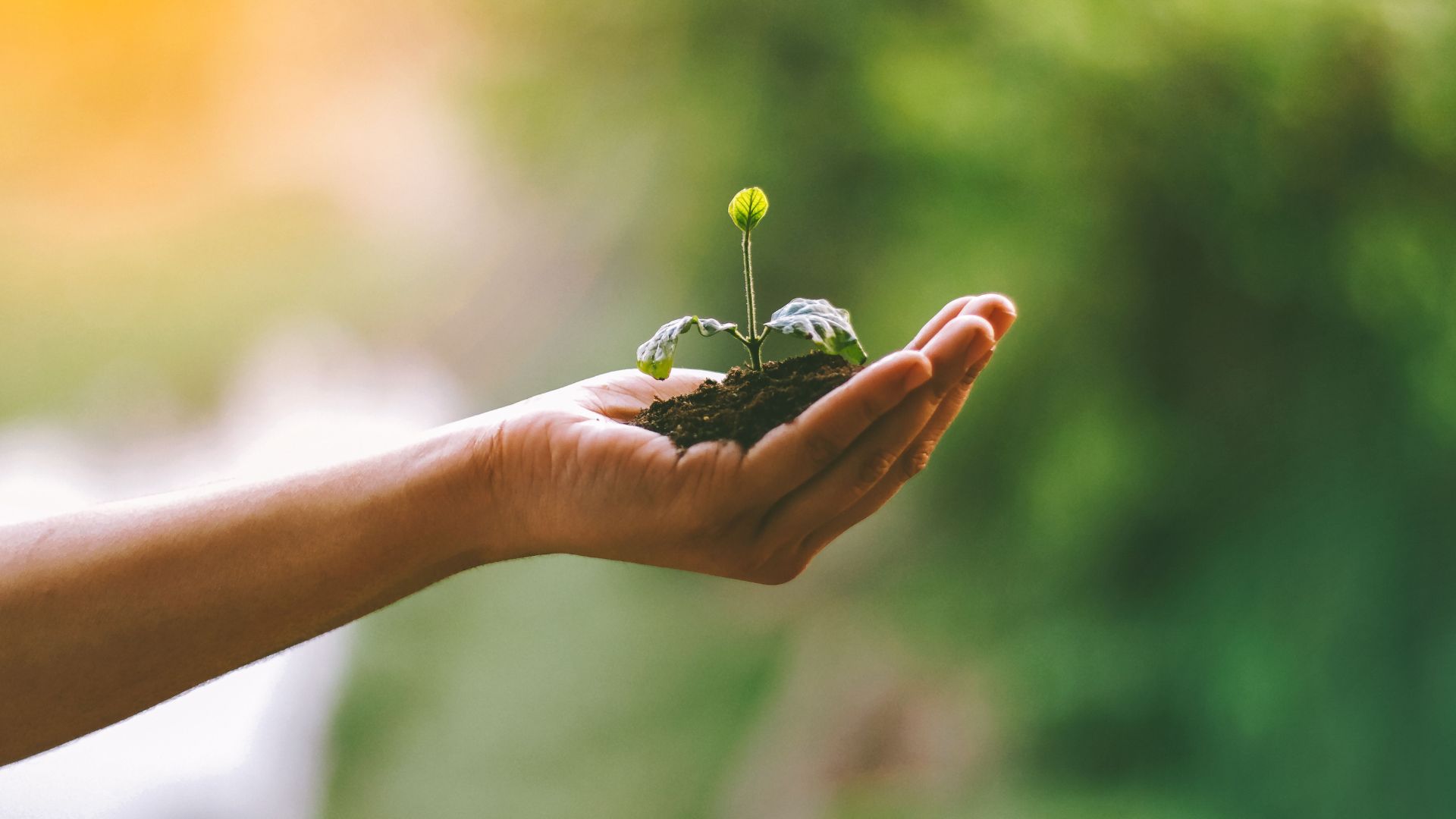 O papel da sustentabilidade no processamento dos aços planos (carbono)